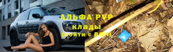 apvp Иннополис