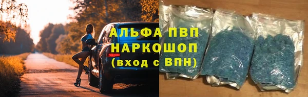 гашик Инсар