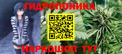 jwh Славгород