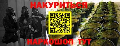 соль ск Сланцы