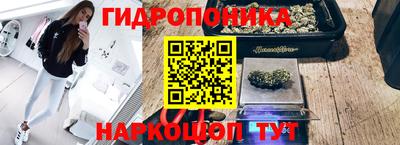 соль ск Сланцы