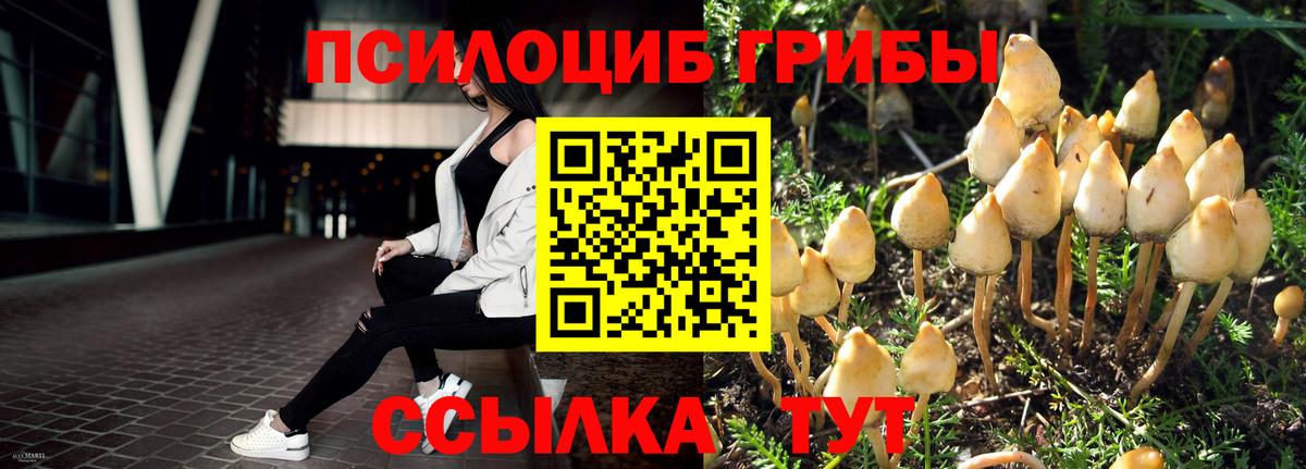 хочу наркоту  Псилоцибиновые грибы Psilocybe  Галлюциногенные грибы ЛСД  Вход с VPN  Свободный 